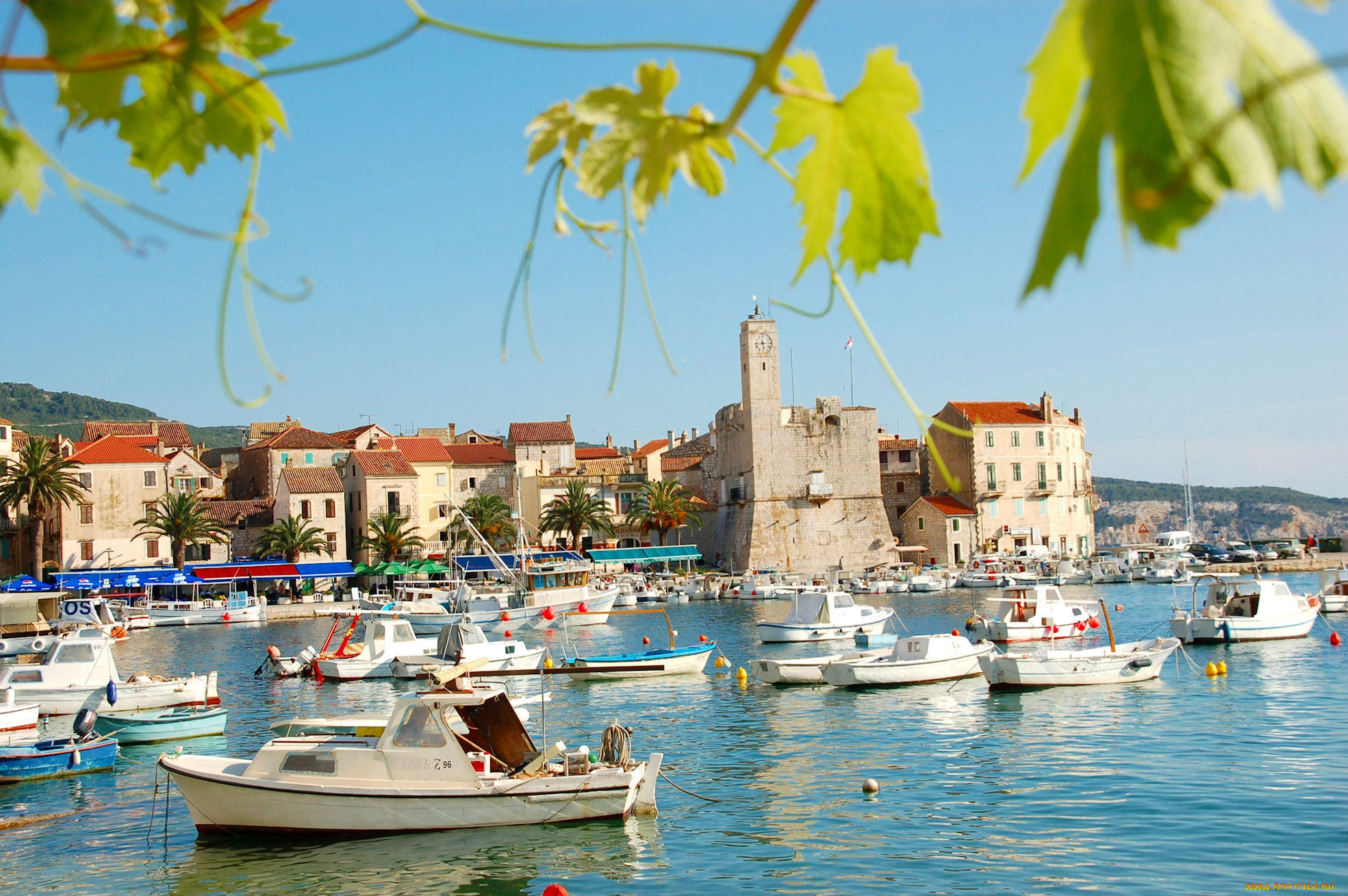 komi&, 382, croatia, , , , , , , komiza, 